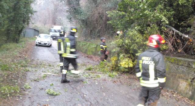 Cadono i rami, strada interrotta a Casoli (foto)