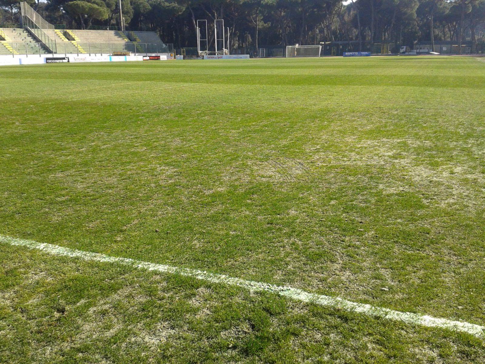 Tinto il manto erboso dello stadio “dei Pini”