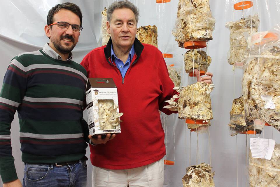 Funghi da fondi di caffè, la scommessa imprenditoriale parte da Camaiore