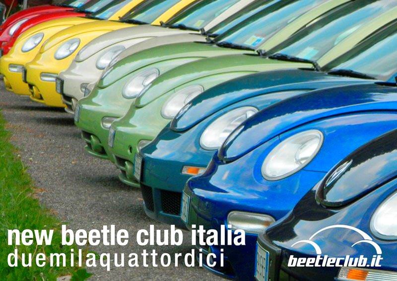 Un raduno di New Beetle a Pietrasanta