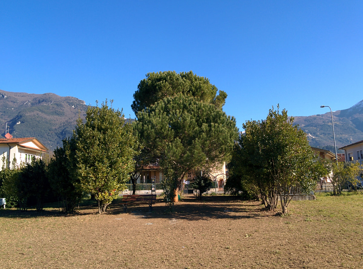 Al via i lavori per lo spostamento dello sgambatoio a Camaiore