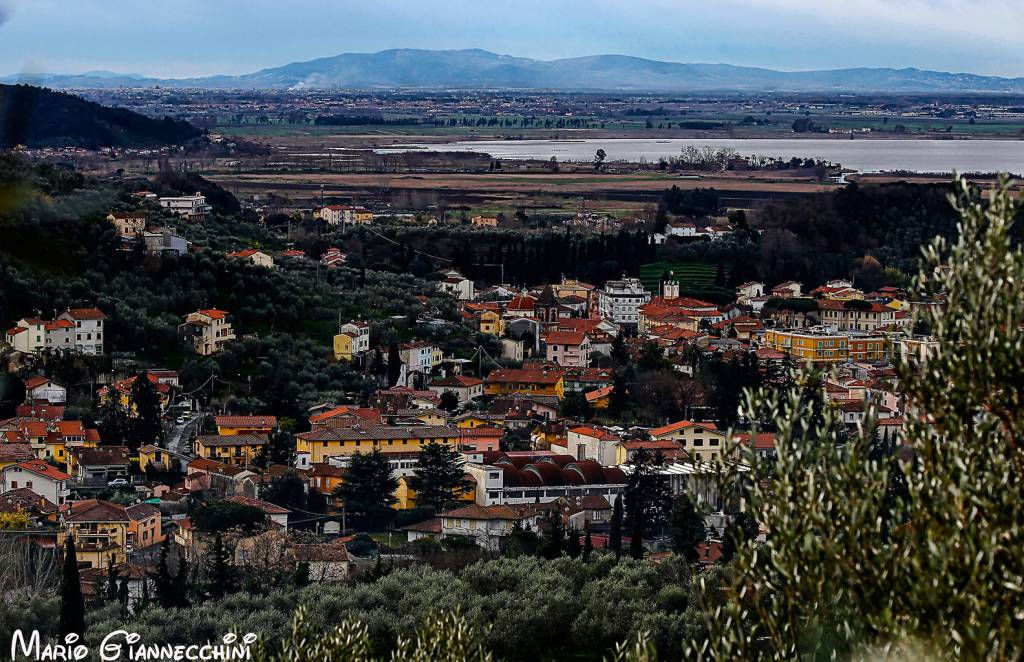 Massarosa