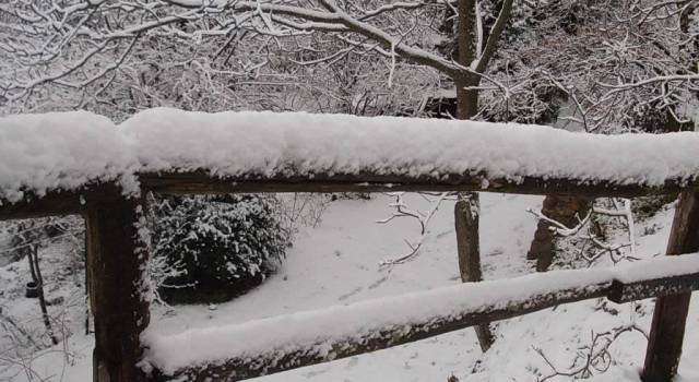 Neve a Camaiore, attivata l&#8217;unità di crisi. Il Comune: &#8220;Lasciate a casa la macchina&#8221; (foto)
