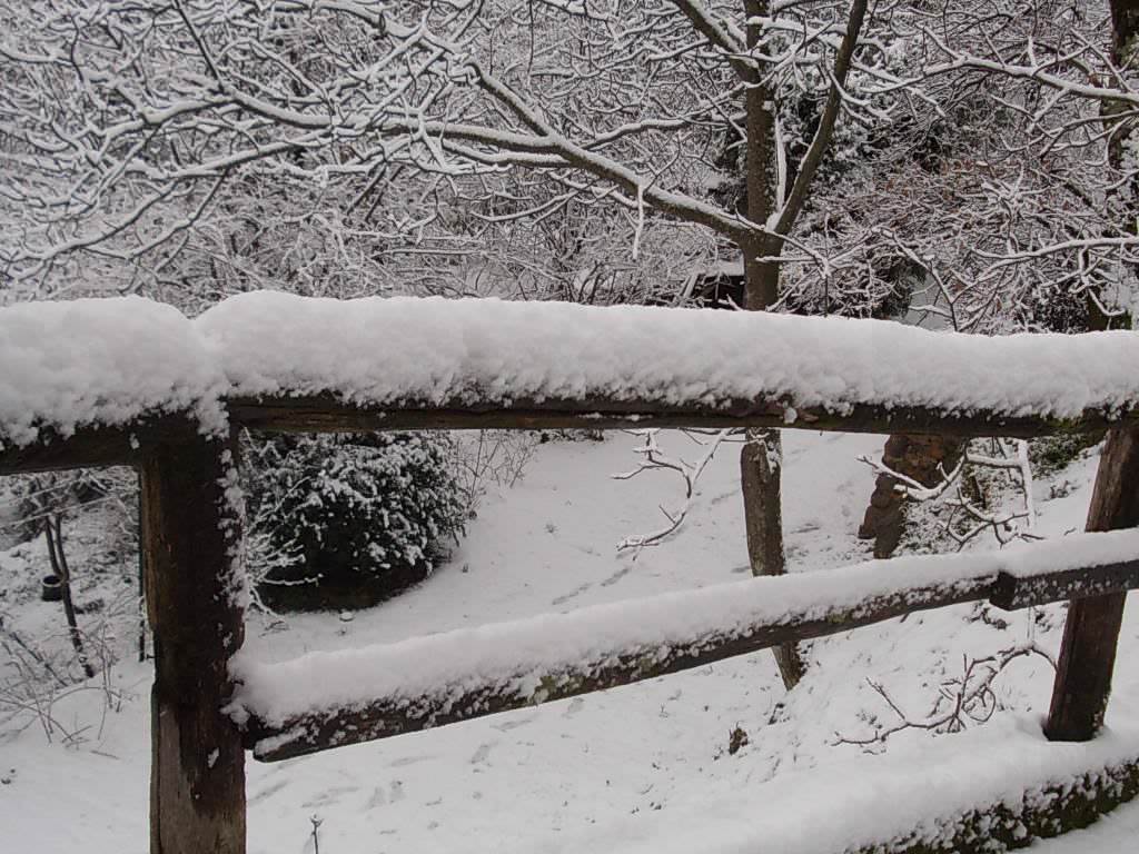 Neve a Camaiore, attivata l’unità di crisi. Il Comune: “Lasciate a casa la macchina” (foto)