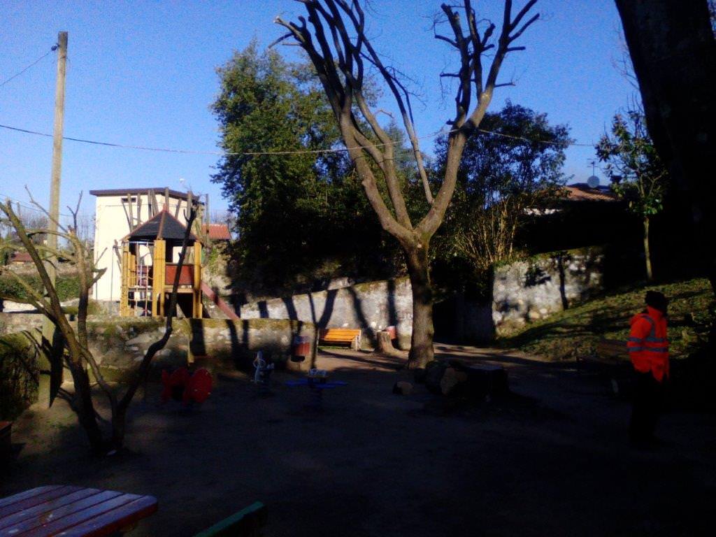 Potature sul territorio. Sistemata la Fontanella e la scuola Pascoli