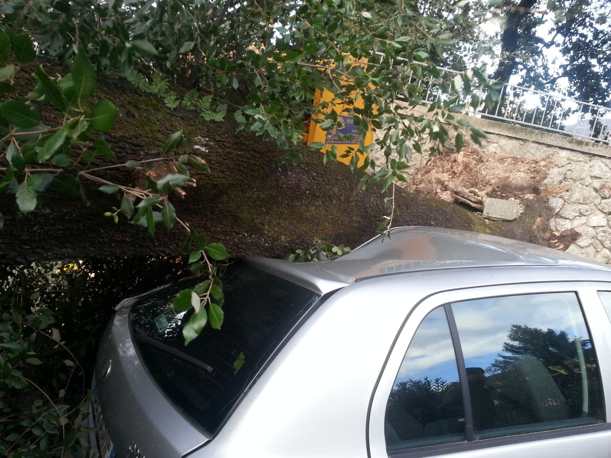 Alberi sulle auto e sulle case, le foto del maltempo