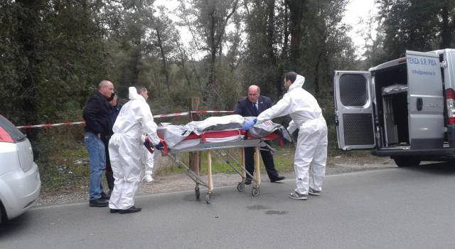 Donna uccisa in pineta, cani molecolari in azione per cercare tracce di sangue