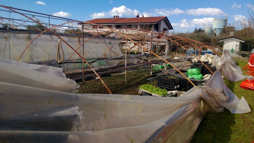 Maltempo, 10 milioni di euro di danni all’agricoltura in Versilia