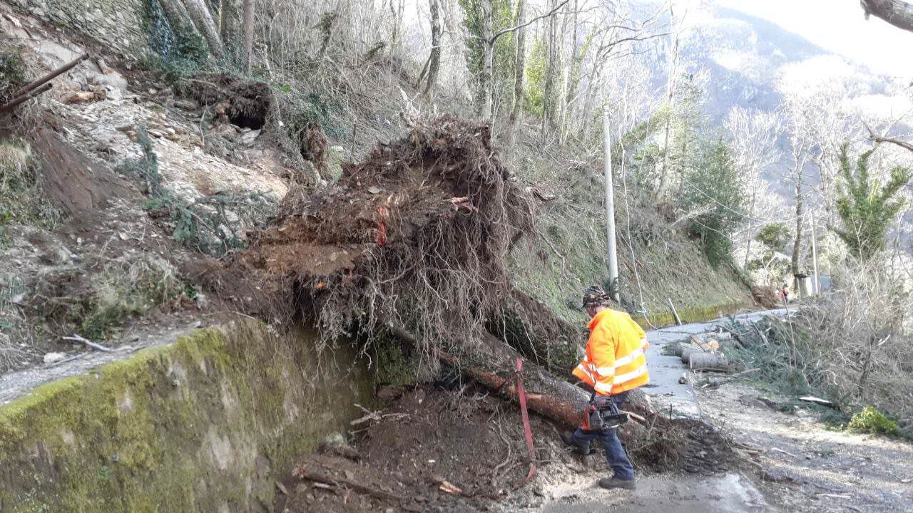 Ultimi giorni per chiedere il risarcimento per i danni causati dal vento