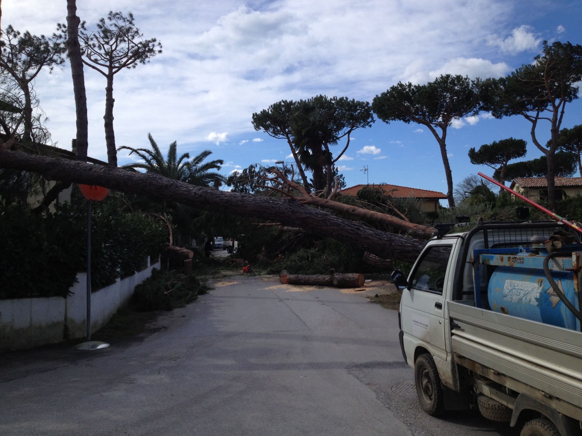 Pietrasanta senza luce dopo il maltempo. Gli interventi di Enel