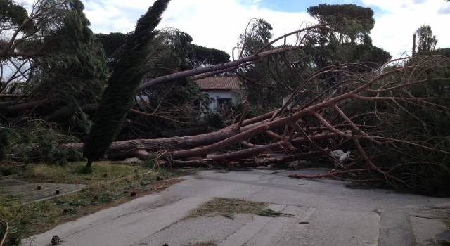 &#8220;Troppi danni in Toscana, Rossi chieda a Renzi lo stato d&#8217;emergenza nazionale&#8221;