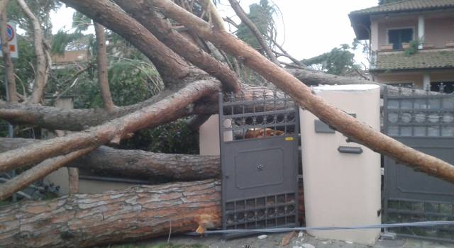 Enel ripristina gli impianti danneggiati dalla tempesta di vento