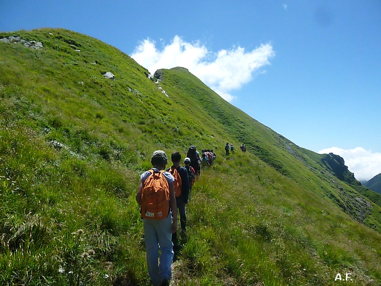 Bloccata da un masso in montagna, al via i soccorsi