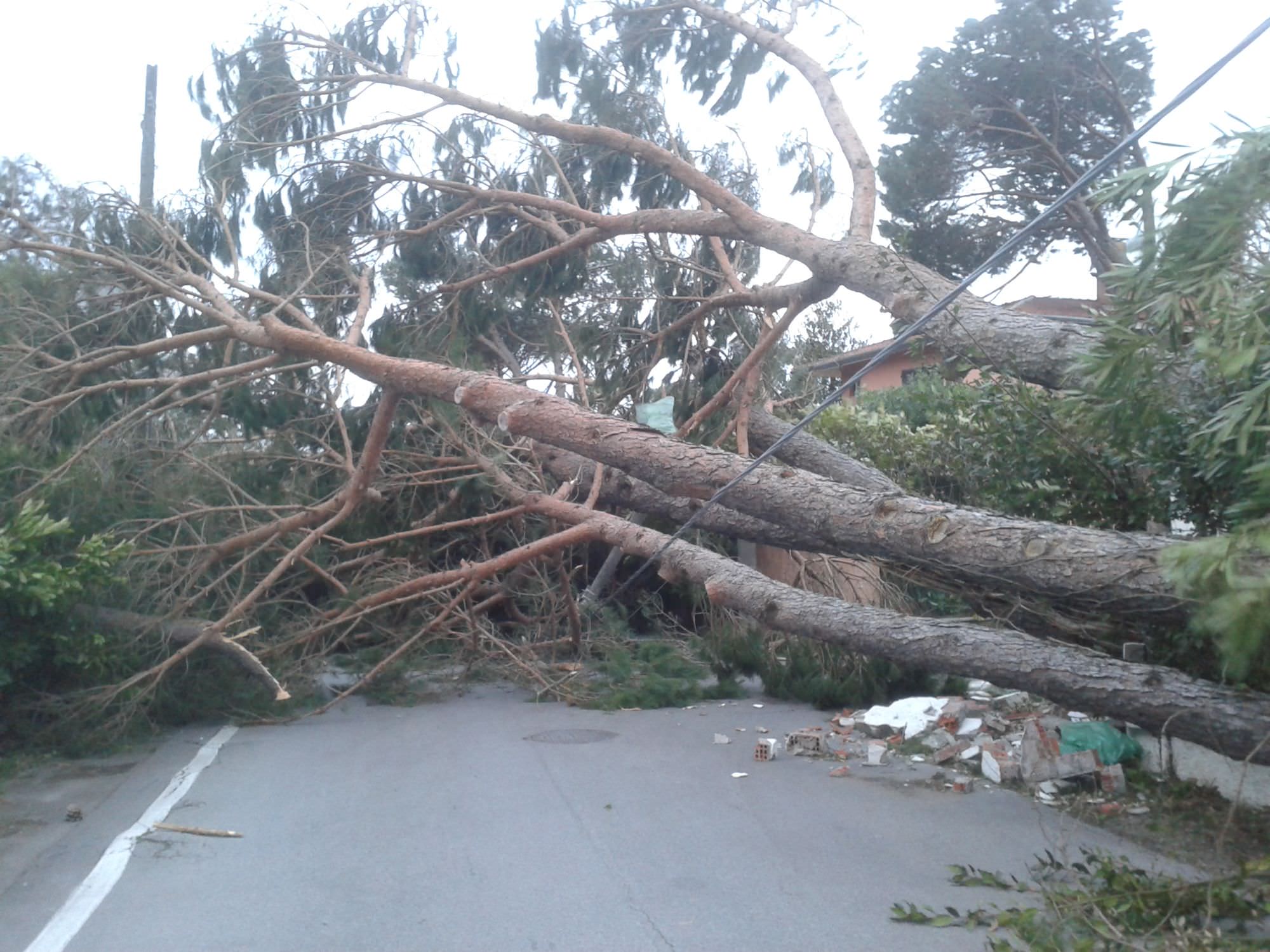 Pericolo sciacallaggio Forte dei Marmi. Auto sospette nelle zone più danneggiate