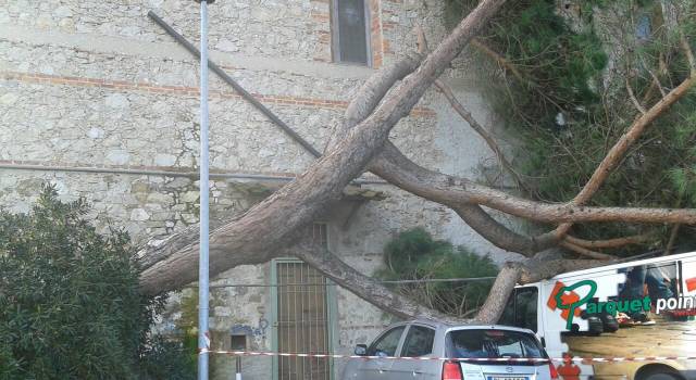 Vento, danni per 235 milioni di euro in Provincia di Lucca. Quasi 23 mila le case danneggiate