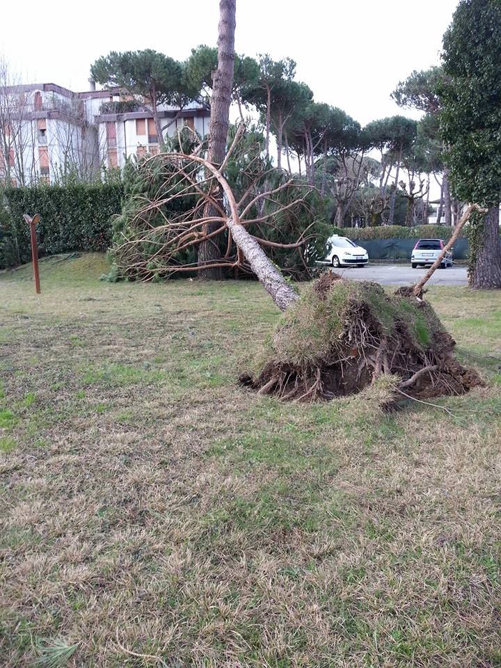 Maltempo, nuovi divieti nelle aree pubbliche di Forte dei Marmi