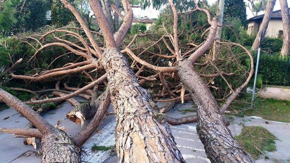 Maltempo, a Seravezza esentate dalla Tari le case oggetto di ristrutturazione