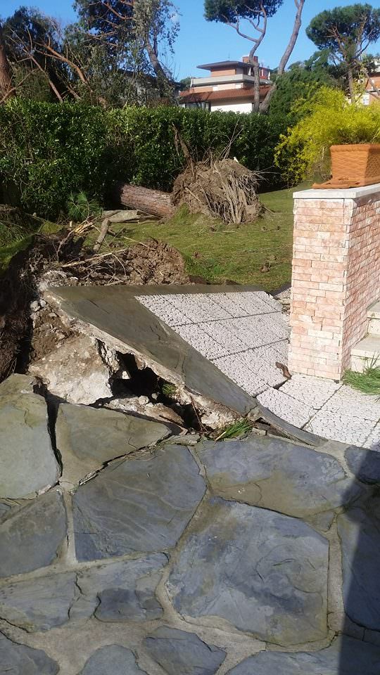 Versilia messa in ginocchio dalle raffiche di vento (le foto)