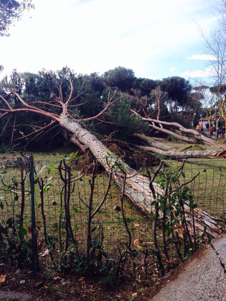 1200 utenze senza elettricità tra Versilia e Garfagnana