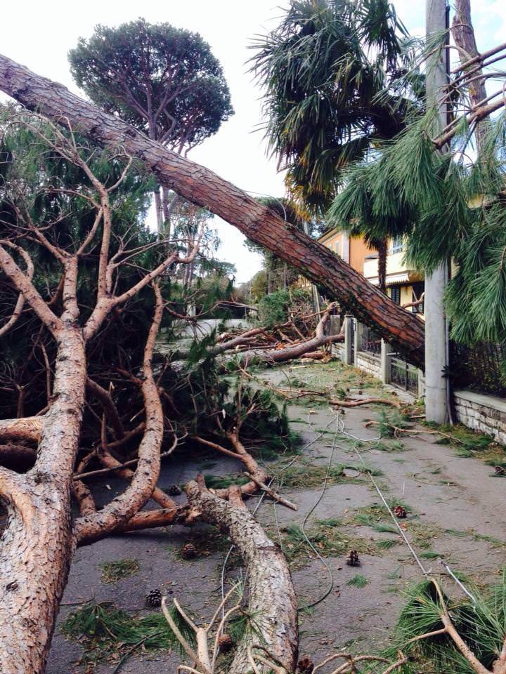 Tempesta di vento a Forte dei Marmi. Cittadinanza onoraria ai vigili del fuoco