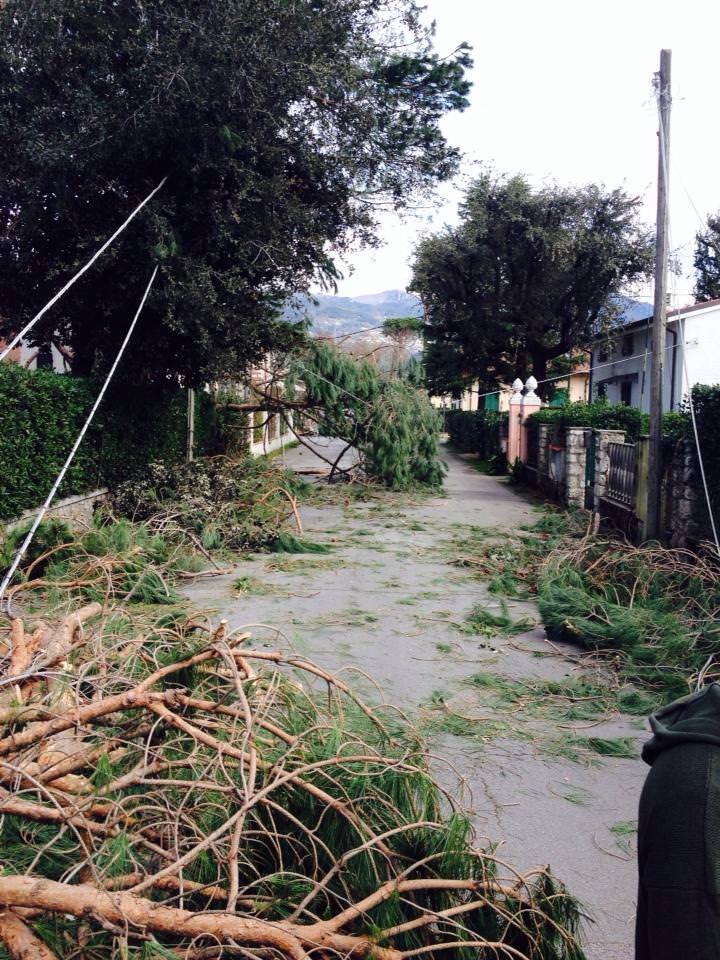 Maltempo Pietrasanta. Comune e Urp aperti anche nel week-end per segnalazioni