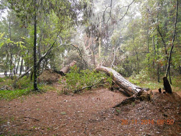 Chiuso l’accesso alla Versiliana. Troppi curiosi si spingono nel parco noncuranti del pericolo