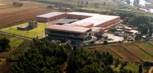 pioppogatto - Consorzio ambiente Versilia