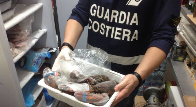 Sequestrate 6 tonnellate di prodotti ittici scaduti