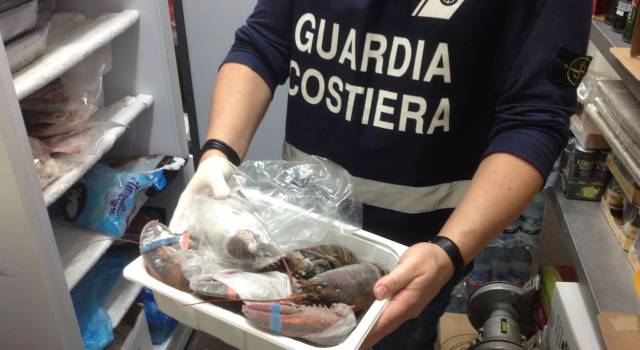 Manca la tracciabilità del pesce, sanzionati tre ristoranti in Versilia