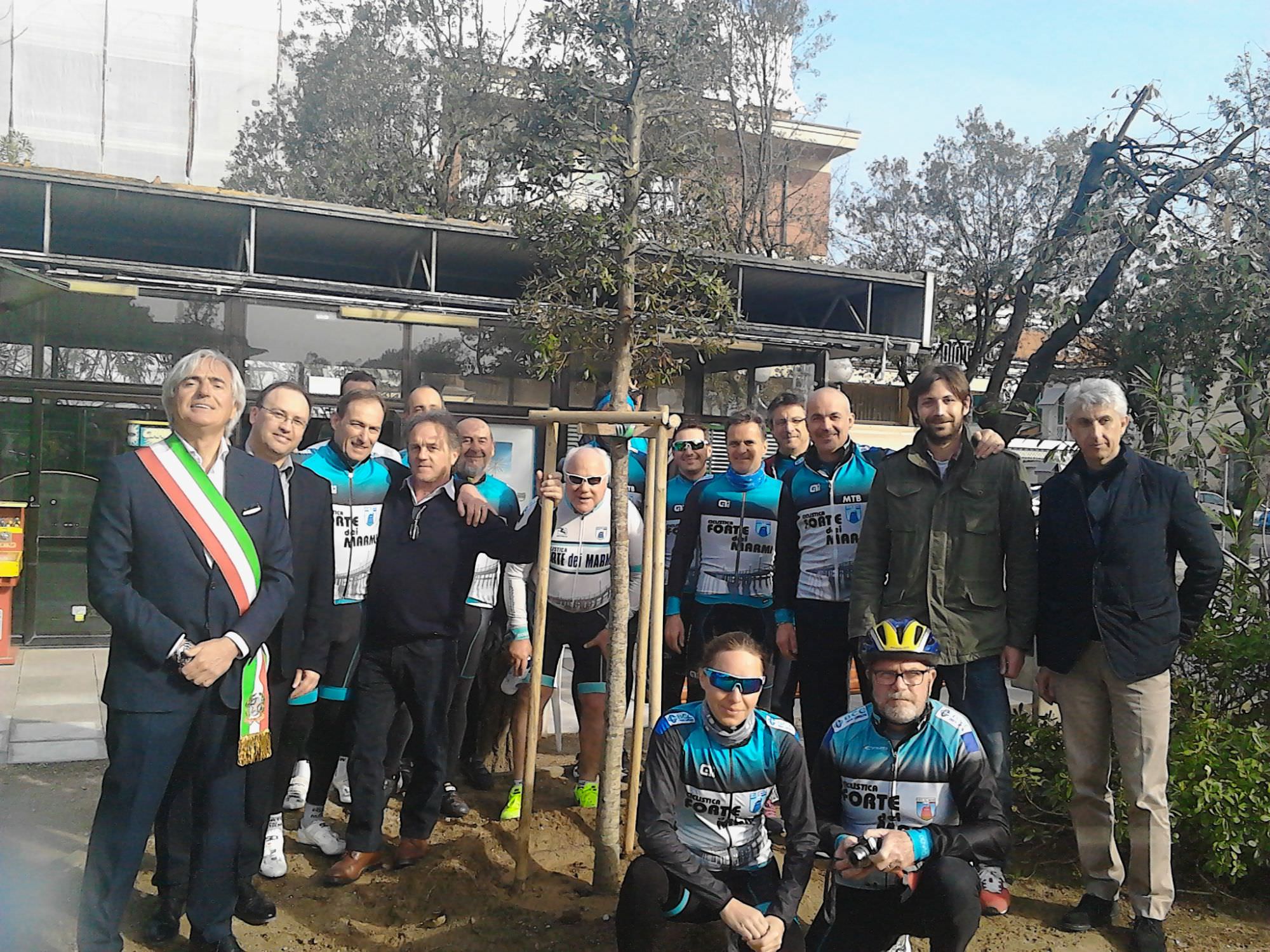 Donato un leccio dall’associazione ciclistica Forte dei Marmi