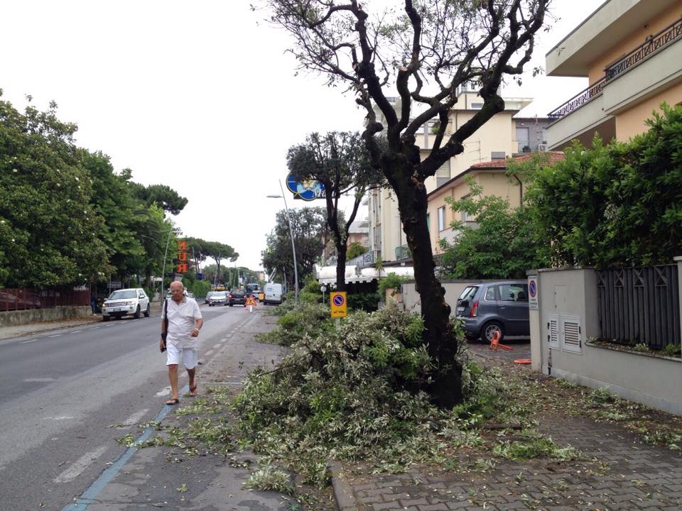 Partiti i lavori per lo stralcio del verde a Lido di Camaiore