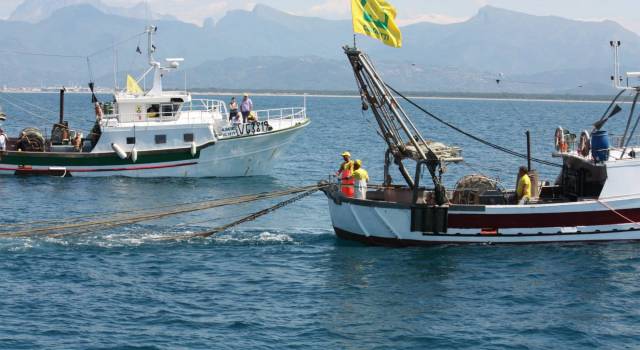 Con la filiera del pesce cresce il fatturato delle imprese ittiche in Toscana (+150%)