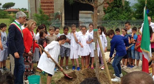 Gli alunni della Pascoli donano un pino alla scuola