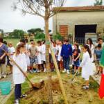 ALBERO SCUOLA PASCOLI