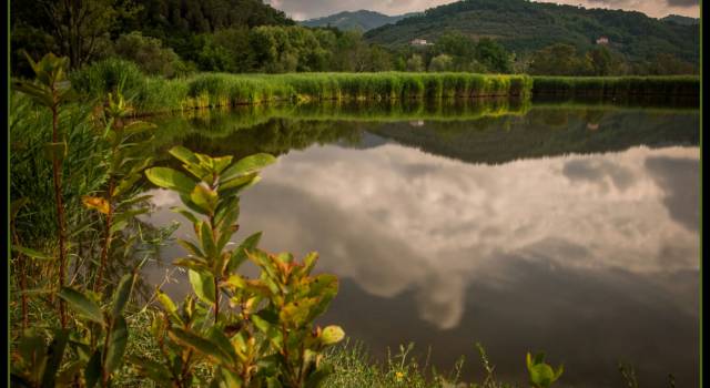 Una gita al Lago di Massaciuccoli