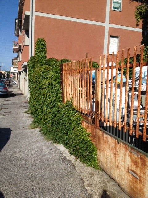 Topi in via Pascoli, la furia dei residenti