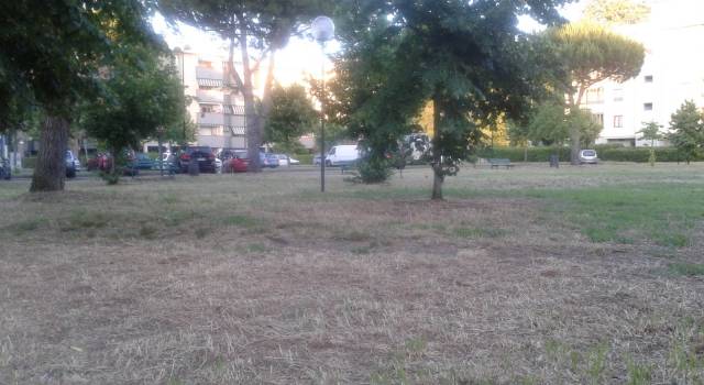 Il Comune non taglia l&#8217;erba in piazza Motroni, i residenti la puliscono da soli