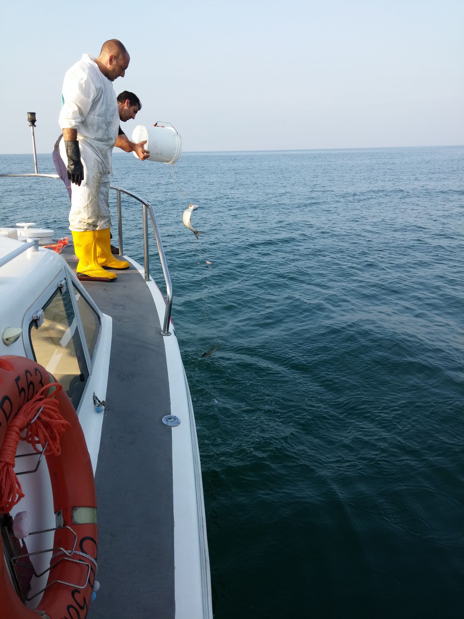 Barca in difficoltà tra l’Isola d’Elba e la Corsica. Interviene la Guardia Costiera