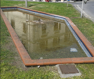 “Recuperiamo la fontana ornamentale vicino Piazza delle Paure”