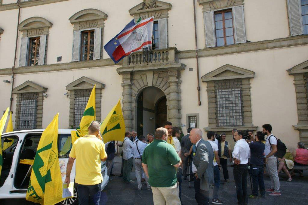 Troppi danni all’agricoltura per colpa di cinghiali e mufloni, agricoltori in Regione