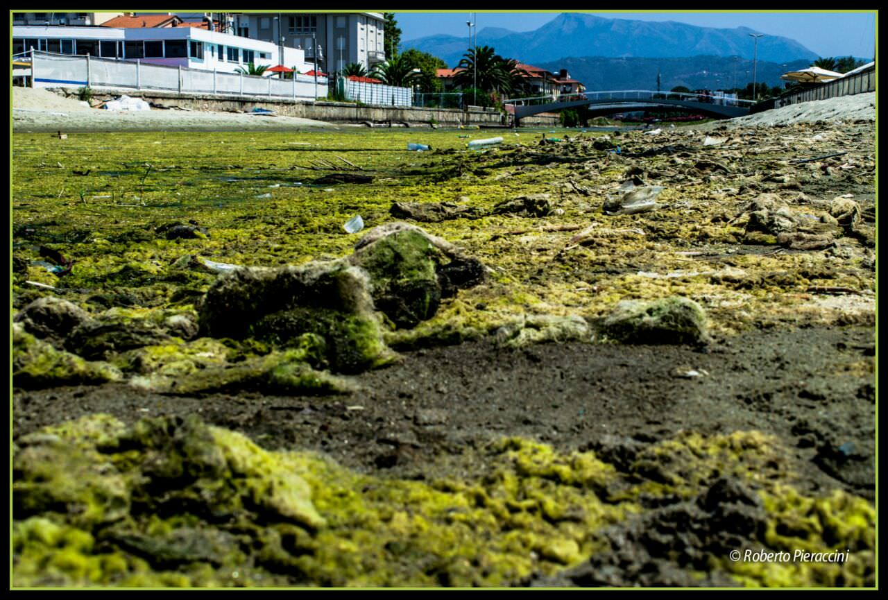 Quel fiume color verde alga per colpa del Comune di Viareggio