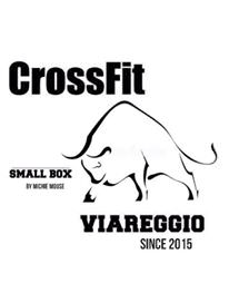 Lezioni di CrossFit alla palestra di Michie Mouse