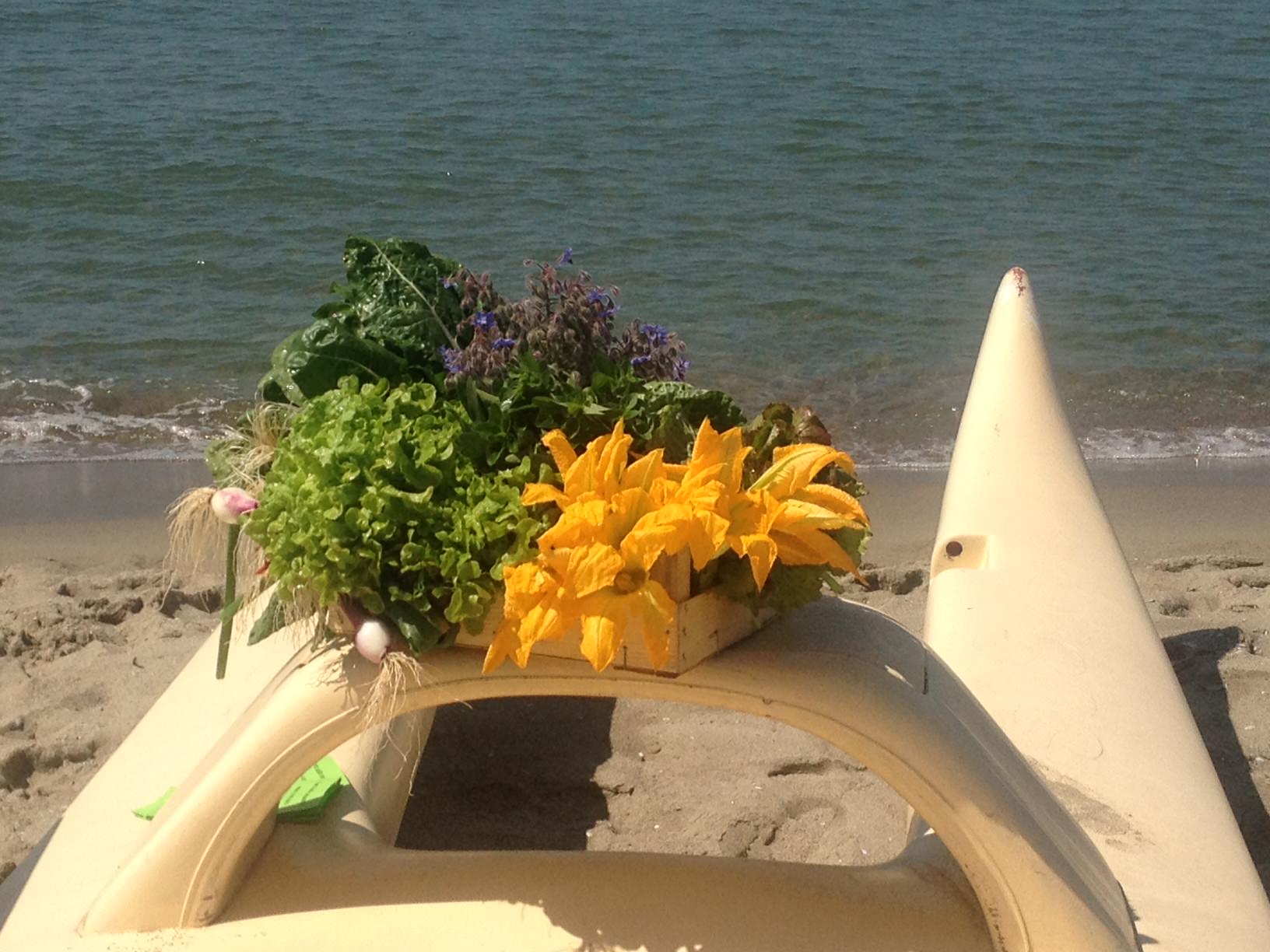 L’orto in spiaggia sbarca in RAI a “Mezzogiorno Italiano”