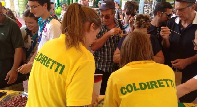 Con il latte in polvere addio al pecorino della Garfagnana