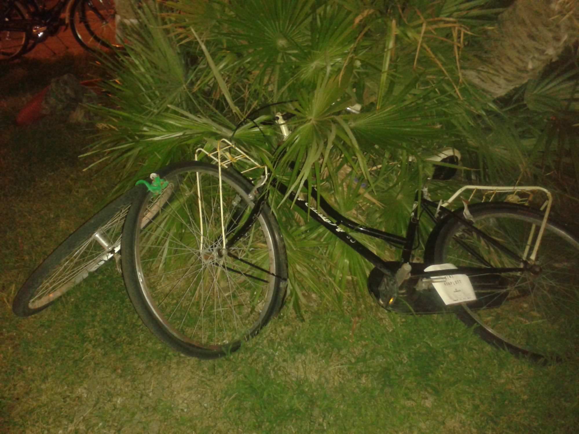 Bici abbandonata in un’aiuola di piazza Mazzini