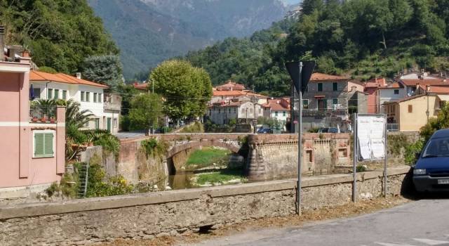 &#8220;Sbagliato dare alla Fondazione Terre Medicee la manutenzione dei giardini&#8221;