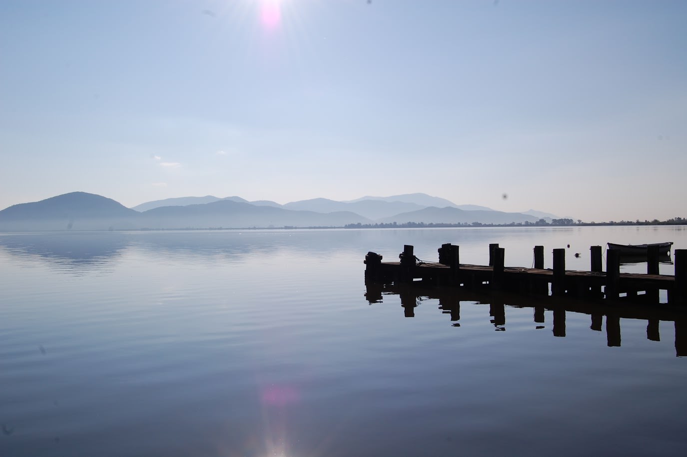 Borsa di studio della Fondazione Puccini alla tesi per la salvaguardia del lago di Massaciuccoli