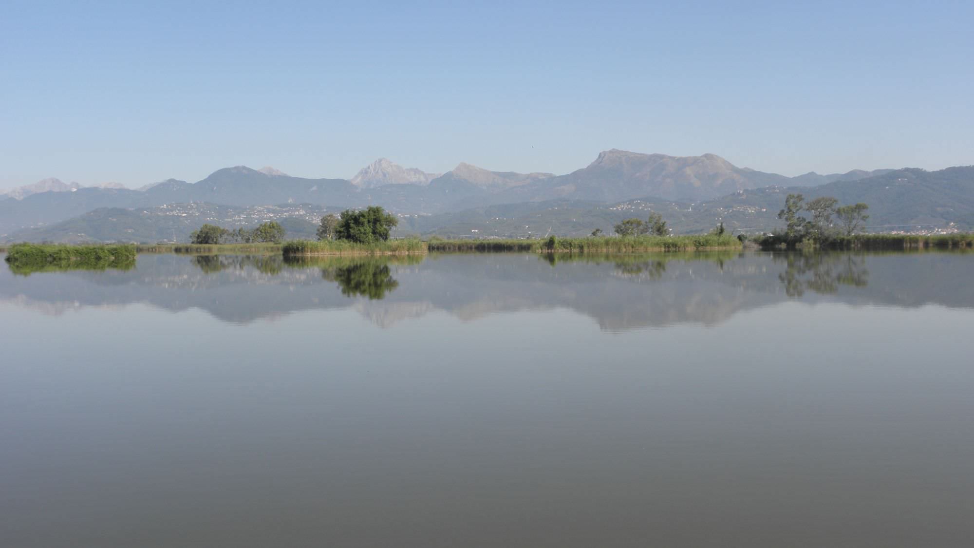 Pesca di frodo nel lago di Massaciuccoli: denunciato bracconiere
