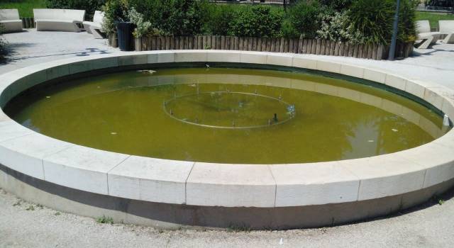 Acqua putrida e zanzare nella fontana, degrado in centro a Camaiore