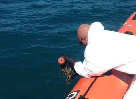 Pescano cozze illegalmente, la Capitaneria di Porto li mette in fuga